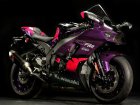 Kawasaki Z-X10RR Ninja Limited Edition